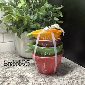 Rae Dunn Garden Vegetable Measuring Cups
